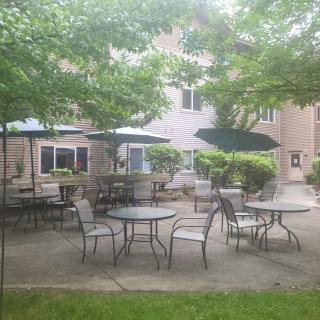 An outdoor patio area with tables and chairs under umbrellas, surrounded by trees.
