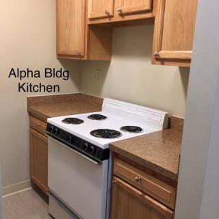 Compact kitchen area with wooden cabinets and an electric stove in Alpha Building.