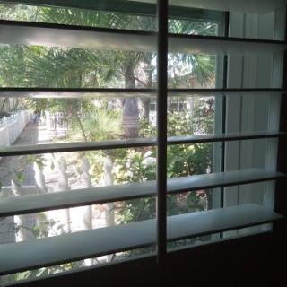 A glimpse through the window showcasing green foliage and sunlight.
