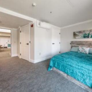 Modern bedroom with teal bedding and carpet flooring.