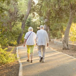 An elderly couple walks hand in hand along a tree-lined path in the park.