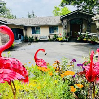 A house with a garden featuring vibrant flamingo decorations and colorful flowers.