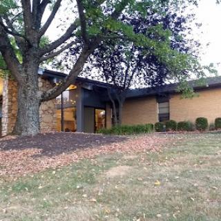 A modern building surrounded by lush greenery and a tree, showcasing a blend of architecture and nature.