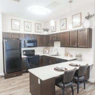 A modern kitchen with dark cabinets and matching appliances, featuring a spacious countertop and bar seating.