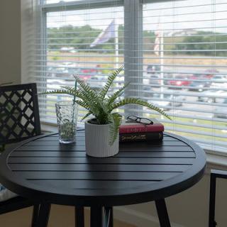 A cozy indoor setting with a round table, potted plant, and view out the window.