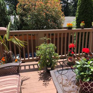 A sunny outdoor deck adorned with vibrant flowers and lush greenery.