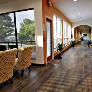 A bright and inviting hallway featuring large windows, comfortable seating, and decorative plants.