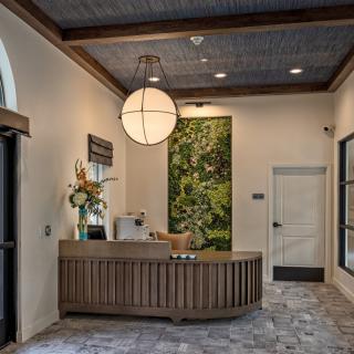 A modern reception area with a stylish desk, decorative greenery, and an elegant light fixture.