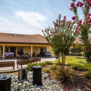 A landscaped courtyard with a variety of plants and flowers in front of a building with a tiled roof.