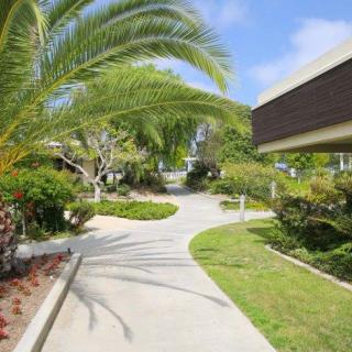 A sunny pathway lined with lush greenery and a modern building.