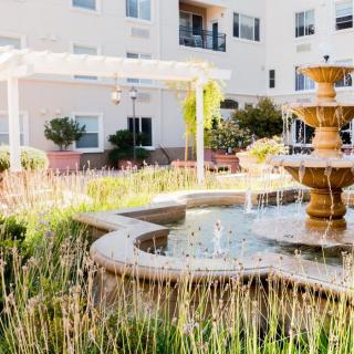 A beautiful outdoor fountain surrounded by greenery in an apartment complex courtyard.