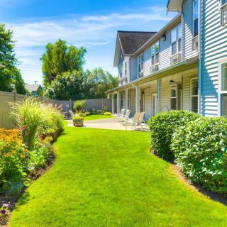 A beautiful residential garden with a well-maintained lawn and lush landscaping on a sunny day.