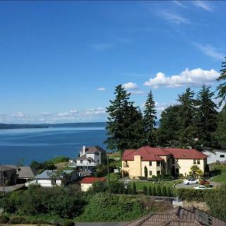 A scenic view of houses near the coastline with a clear blue sky and trees.