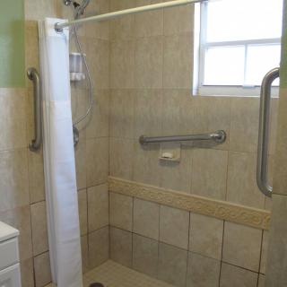 A bathroom shower area with grab bars and a tiled wall.