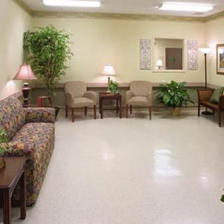 A waiting room with comfortable seating and decorative plants.