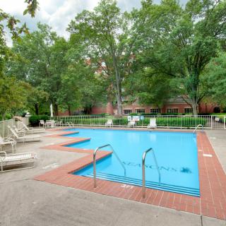 A serene outdoor swimming pool surrounded by trees and lounge chairs.