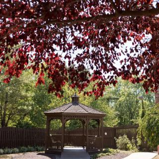 A tranquil gazebo surrounded by lush greenery and framed by vibrant red foliage.