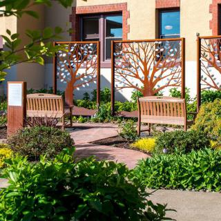 A serene garden setting with wooden benches and decorative tree panels.