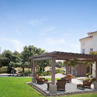 A sunny outdoor setting with a pergola and furniture in a well-maintained garden.