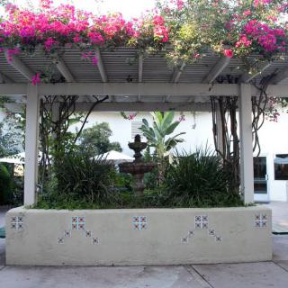 A picturesque garden scene with a pergola covered in blooming bougainvillea, featuring a central statue surrounded by lush greenery.