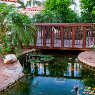 A serene garden scene featuring a wooden bridge over a tranquil pond surrounded by lush greenery.