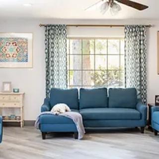 A cozy living room with a blue sofa and a dog resting on it, complemented by patterned curtains and light wood flooring.