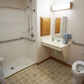 A bathroom featuring a walk-in shower, sink with mirror, and toilet.