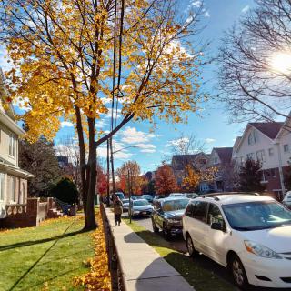 A sunny autumn day on a suburban street lined with colorful trees and parked cars.