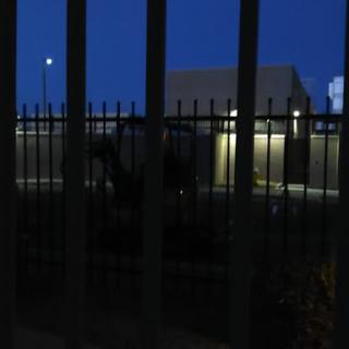 A nighttime view of a fenced building, partially illuminated against the dark sky.
