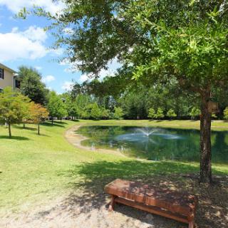 A serene park scene featuring a tranquil pond surrounded by lush greenery and a bench for relaxation.
