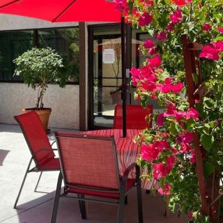 A sunny patio with red chairs and a table under a red umbrella, surrounded by vibrant bougainvillea flowers.