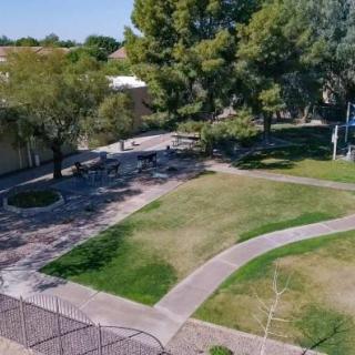 A tranquil park with pathways winding through grassy areas and shaded by trees.
