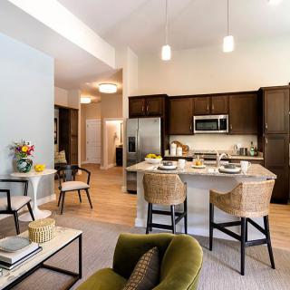 A modern open-concept kitchen and living area with stylish furniture and elegant decor.