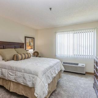 A cozy bedroom with a neatly made bed, soft lighting, and ample natural light coming through the window.