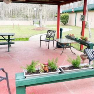 An inviting outdoor patio with seating and planters under a covered area.