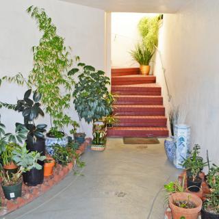 A hallway adorned with various potted plants leading up a set of stairs.