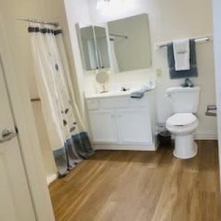 A modern bathroom featuring a toilet, sink with mirror, and shower curtain.