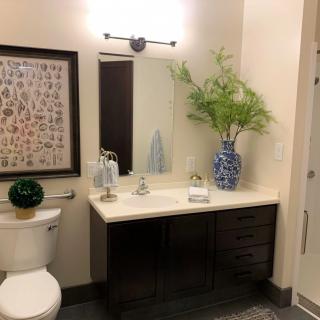 A stylish bathroom featuring a modern vanity with a large mirror, decorated with greenery in a blue and white vase, artwork, and elegant lighting.