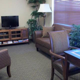 A cozy waiting room with a television, sofa, chairs, and indoor plants.