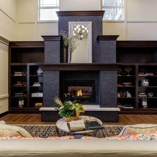 A modern living room featuring a central fireplace surrounded by dark bookshelves and elegant decor.