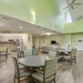 A modern open-concept living and dining area with green walls and contemporary furniture.