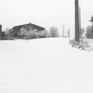 A snowy landscape with a cabin, trees, and a road in a winter setting.