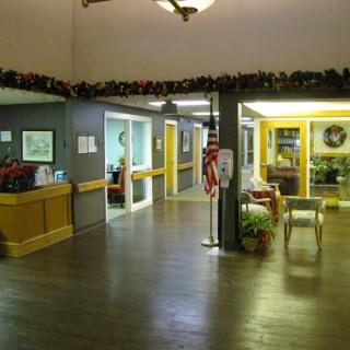 A welcoming lobby area with a reception desk, decorated with plants and yellow accents.
