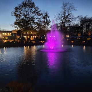 A tranquil night scene featuring a beautifully lit purple fountain, surrounded by trees and reflected in the still water.