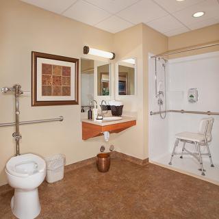 An accessible bathroom featuring grab bars, a shower chair, and modern amenities.