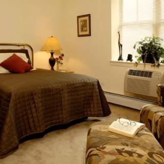 A cozy bedroom with a brown bedspread, a lamp on the nightstand, and a potted plant by the window.