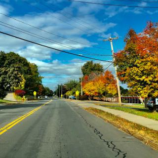 A serene autumn scene showcasing a peaceful road lined with vibrant trees under a clear blue sky.