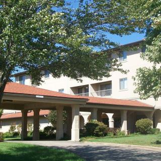 A sunny view of a building entrance surrounded by trees.