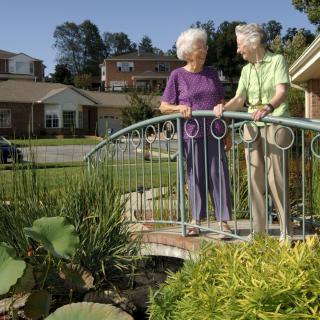 Two elderly women enjoying a conversation on a small garden bridge.