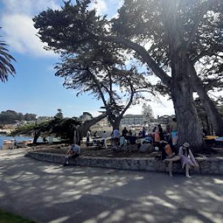 A sunny day in the park with people enjoying the outdoors under the shade of trees.
